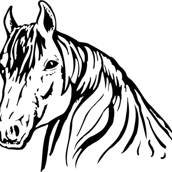 HORSE006 Thumbnail