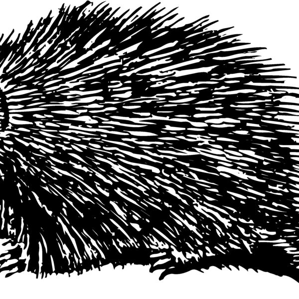 PORC001 Thumbnail