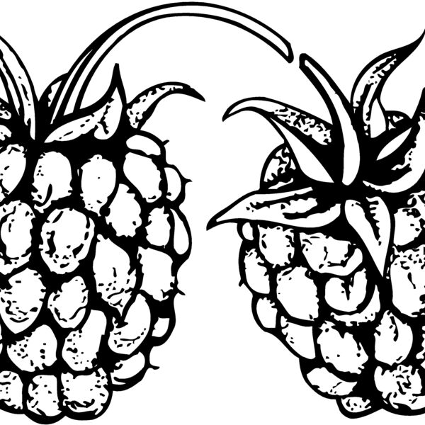 FRUIT032 Thumbnail